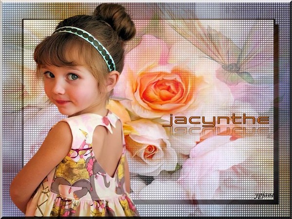 Jacynthe